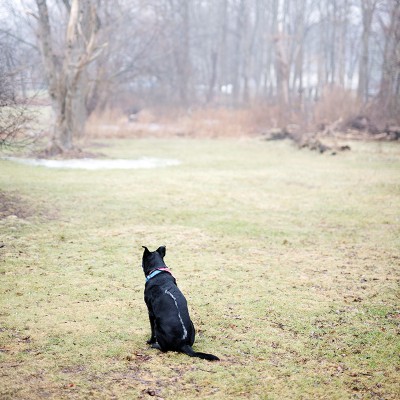 365 Project: Week 4